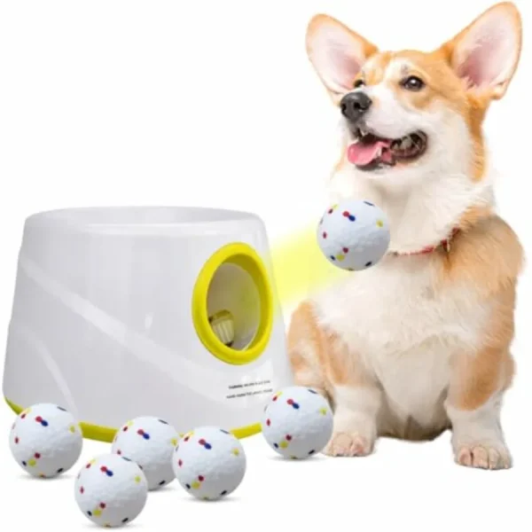Automatic, Interactive Fetch Machine