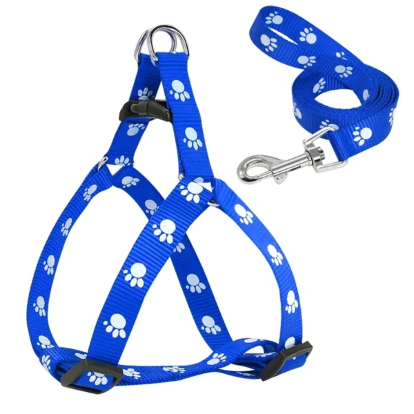 Nylon Dog Harness and Leash Set
