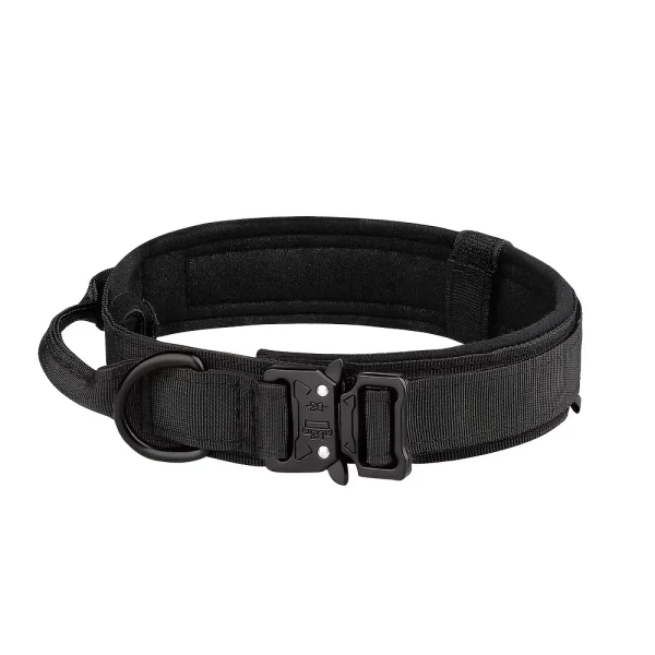 Dog Training Collar and Optional Leash