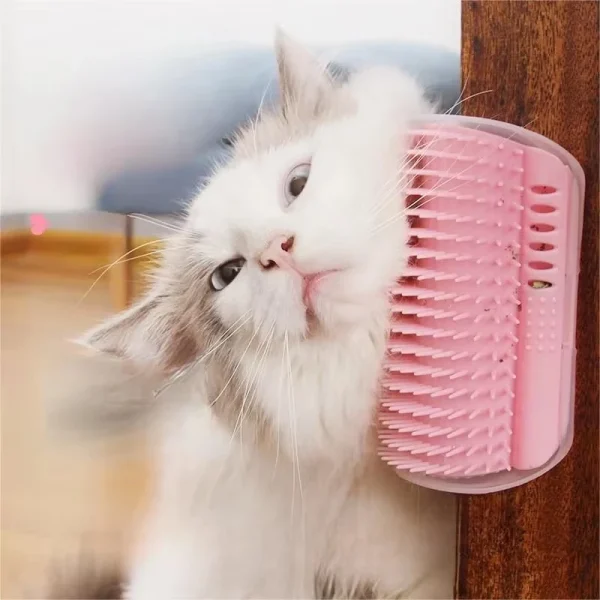 Corner Scratching Brush