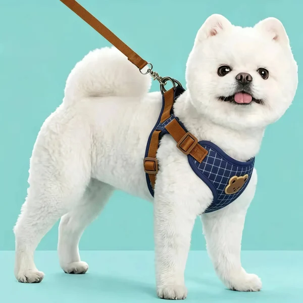 Leash Set For Small-Medium Dogs