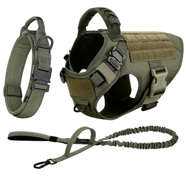 Dog Harness And Leash Set
